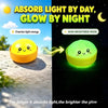 Luminous Dumpling Stress Relief Squishy